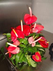 DSC05348