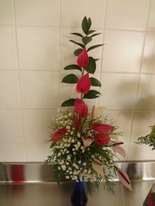 DSC05415
