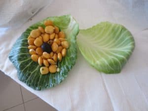 IMG 0012