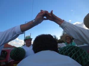 IMG 0033