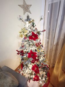 IMG 20230105 201108