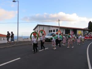 IMG 3055