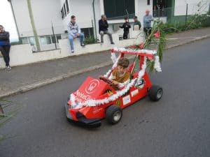 IMG 3081