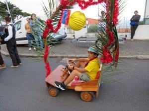 IMG 3082