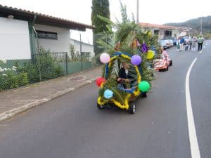 IMG 3088