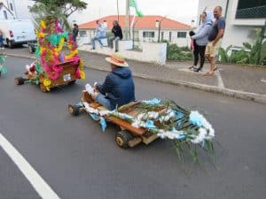 IMG 3103