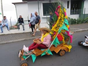 IMG 3104