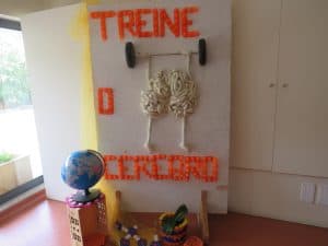 IMG 8813