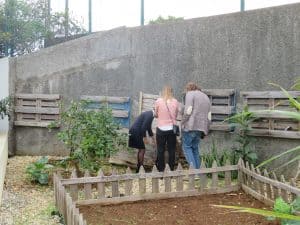 IMG 8834