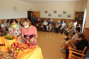 IMG 9245
